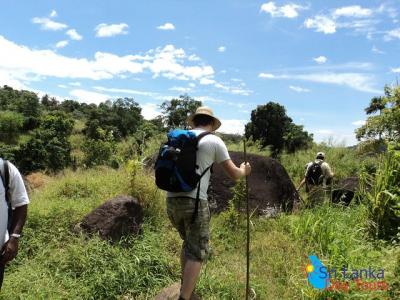 The birdwatchers quest through Hanthana Mountain Range – Kandy The birdwatchers quest through Hanthana Mountain Range – Kandy