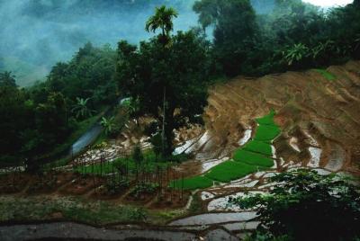 Heeloya Village Guided Hike via Rangala Heeloya Village Guided Hike via Rangala