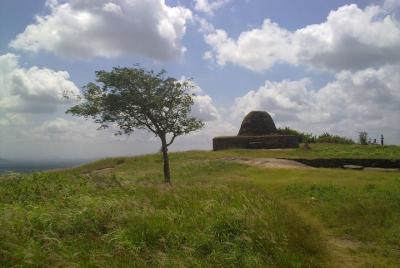 2-Anciant Kingdoms Private Tour from Kandy 2-Anciant Kingdoms Private Tour from Kandy