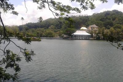 Exploring the Heritage of Kandy with a Local 