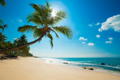 Negombo City Tour Negombo City Tour