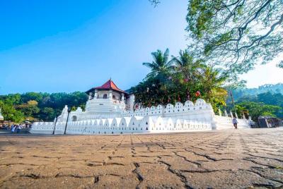 Kandy City Tour From Negombo 