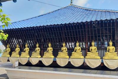 Full-Day Colombo Tour from Negombo with Pick Up and Lunch Full-Day Colombo Tour from Negombo with Pick Up and Lunch