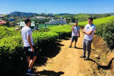 Nuwara Eliya/ Waterfall/ Tea Factory/ Food Taste - ASY Tours Nuwara Eliya/ Waterfall/ Tea Factory/ Food Taste - ASY Tours