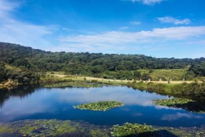 Horton Plains National Park & World's End Tour from Nuwaraeliya C