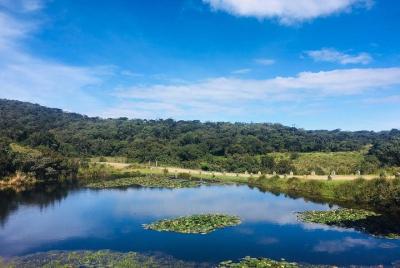 Full-Day Horton Plains National Park Tour from Nuwaraeliya