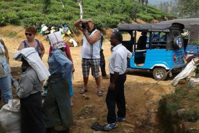 Tuk Tuk Safari in Tea plantation, View Points, Water Falls, Spice Tuk Tuk Safari in Tea plantation, View Points, Water Falls, Spice