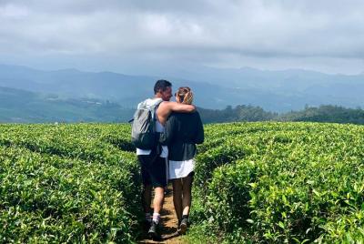 Hiking and Bird watching in Nuwara Eliya