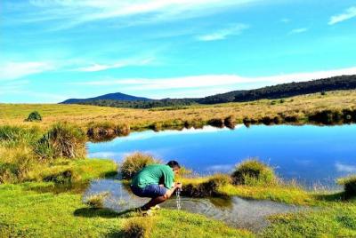 Horton Plains National Park (Taxi) - ASY Tours Horton Plains National Park (Taxi) - ASY Tours