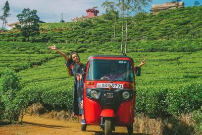 All inclusive - Explore Countryside of Nuwara Eliya by Tuk-Tuk