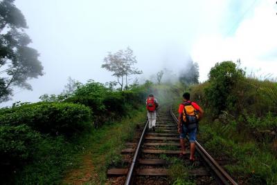 Haputale Tea Estate Walking Tour From Ella  Haputale Tea Estate Walking Tour From Ella