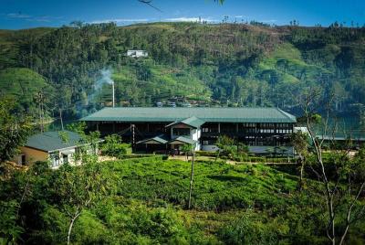 E-bike with us in Castlereagh Tea Trails (Private Tour) E-bike with us in Castlereagh Tea Trails (Private Tour)