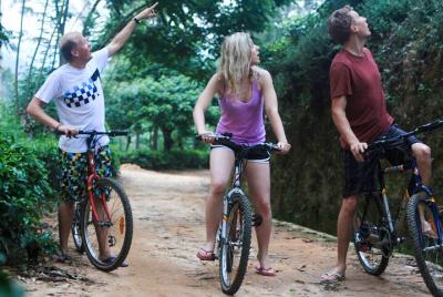 Discover Ancient Ella by Cycling