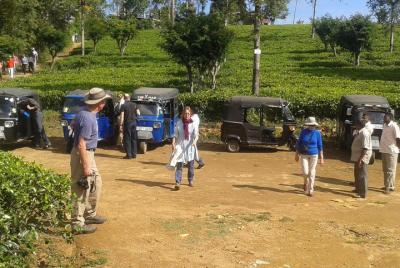 Tuk Tuk safari and Picnic in The Tea Plantation from Ella,Haputal