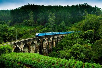 Ella 3 Icons Private Tour