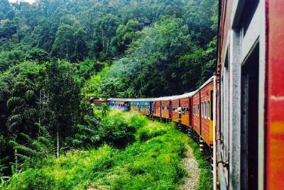 Nanu Oya to Ella train ride on (Train No: 1015 