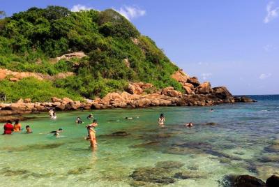 Private day tour forest rock sigiriya to dolphins in trincomalee  Private day tour forest rock sigiriya to dolphins in trincomalee