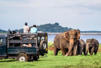 Jeep Safari to Minneriya National Park.