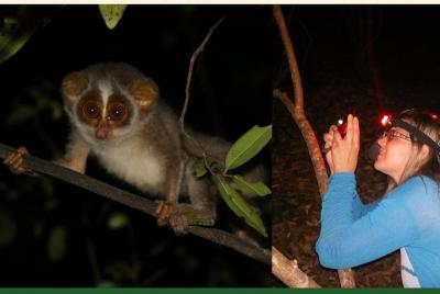 Sigiriya Loris Night Trail