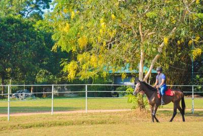 Horse Riding for Beginners from Sigiriya Horse Riding for Beginners from Sigiriya