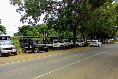 Yala Safari jeep Booking Yala Safari jeep Booking