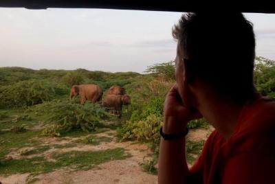 Morning Shared Safari at Bundala Park by Yala La Safari Tours Morning Shared Safari at Bundala Park by Yala La Safari Tours