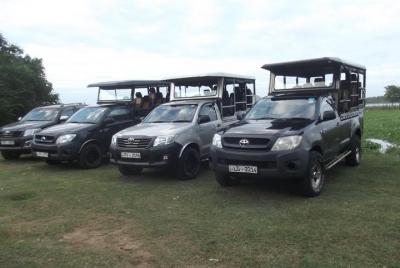 Special leopard safari in Yala National park - 04.00 am to 11.30 am Special leopard safari in Yala National park - 04.00 am to 11.30 am