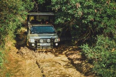 Yala Full day Leopard Safari Tour with Picnic Lunch - Private Tour Yala Full day Leopard Safari Tour with Picnic Lunch - Private Tour