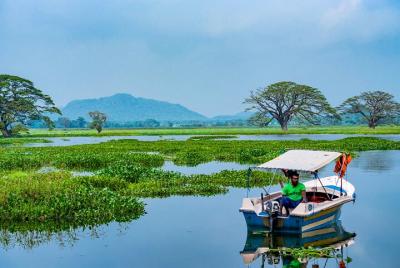 Boat Tour in Tissamaharama Lake Boat Tour in Tissamaharama Lake