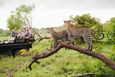Half Day Safari at Yala National Park From Yala / Tissamaharama Half Day Safari at Yala National Park From Yala / Tissamaharama