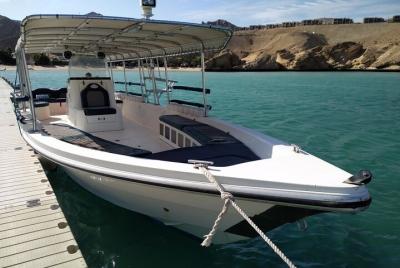 2-Hour Dolphin Watching Oman