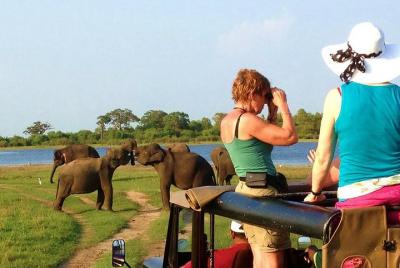 One Day Safari Tour to Both Yala and Udawalawe National Parks One Day Safari Tour to Both Yala and Udawalawe National Parks