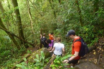 Gros Pitons Hike - Minimum 4 pax