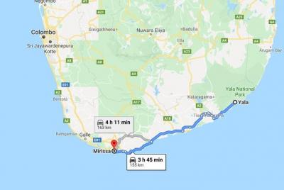 Yala City to Mirissa City Private Transfer Yala City to Mirissa City Private Transfer