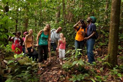 St Lucia Rainforest Walk St Lucia Rainforest Walk