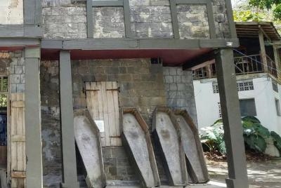 Half-Day Pirates Tour from Kingstown