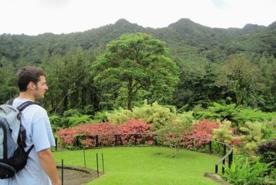 Montreal Gardens and Belmont Lookout Tour
