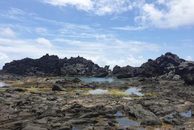 Owia Salt Pond Tour and Black Point Tunnel with Topdawg Taxi and 