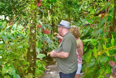 Montreal Garden , Belmont look out and Rawacou Recreation park f  Montreal Garden , Belmont look out and Rawacou Recreation park f