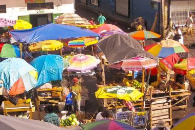 Half-Day Kingstown Market Tour Half-Day Kingstown Market Tour