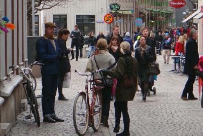 Private Half-Day Walking Tour in Central of Gothenburg Private Half-Day Walking Tour in Central of Gothenburg