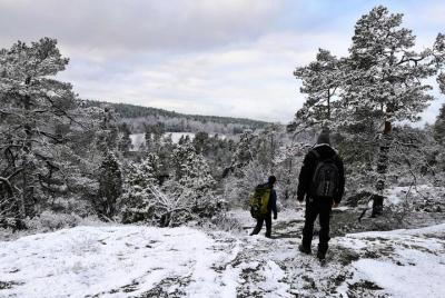 1-Day Small-Group Stockholm Nature Winter Hiking 1-Day Small-Group Stockholm Nature Winter Hiking