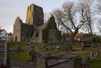 5hs guided Sigtuna tour from Stockholm to Sigtuna incl. Wenngarn Castle. 5hs guided Sigtuna tour from Stockholm to Sigtuna incl. Wenngarn Castle.