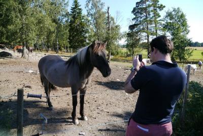 Private Tour: Swedish History Day Trip to World Heritage Candidate Markim-Orkesta from Stockholm Private Tour: Swedish History Day Trip to World Heritage Candidate Markim-Orkesta from Stockholm