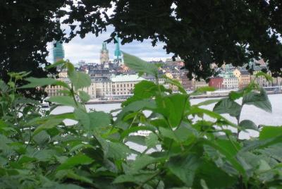 Stockholm Top attractions all-inclusive Gran Tour Stockholm Top attractions all-inclusive Gran Tour
