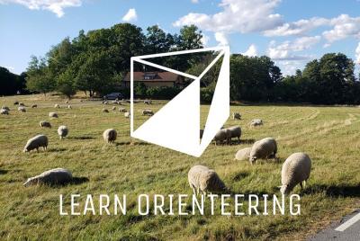Orienteering private beginner Orienteering private beginner's course in northern Royal Djurgården