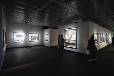 Fotografiska Admission Ticket, 90 minutes