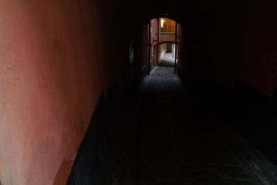 Stockholm Horror History and Dark Folklore Tour - 90min Ghost Wal Stockholm Horror History and Dark Folklore Tour - 90min Ghost Wal