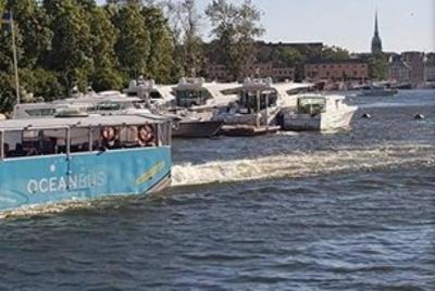 OceanBus - See The Sights By Land and Sea