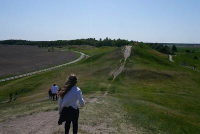 Private Guided 90min tour of famous Old Uppsala mounds and medive Private Guided 90min tour of famous Old Uppsala mounds and medive